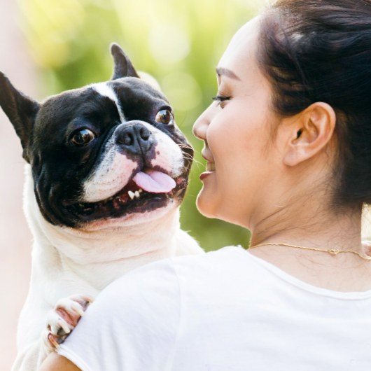 Pet Owner Loyalty